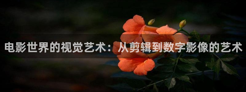 酷客影院最新電影